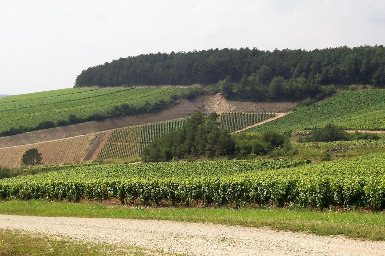 Les Tilleuls & Co Troyes Zewnętrze zdjęcie